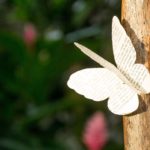 Un joli papillon en papier sur un arbre pour de belles citations sur la naissance